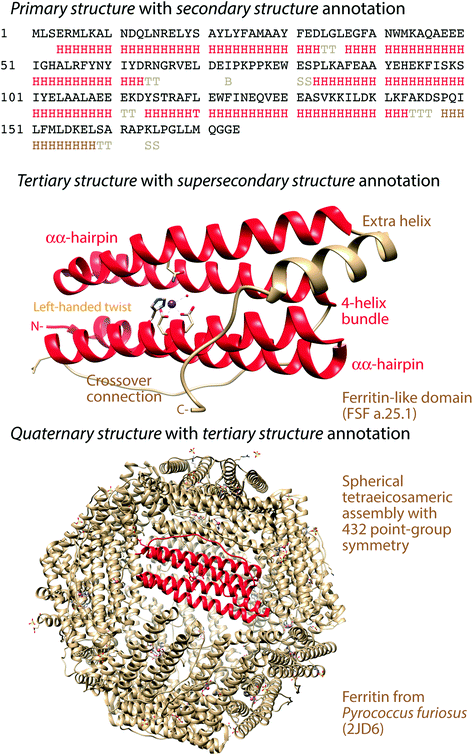 The Compressed Vocabulary Of The Proteins Of Archaea Springerlink