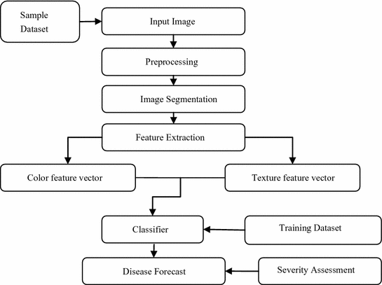plant recognition using machine learning