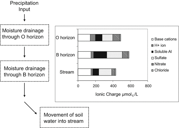 Soil Biogeochemistry Springerlink