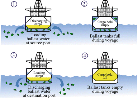 ballast invasive species water arctic fig