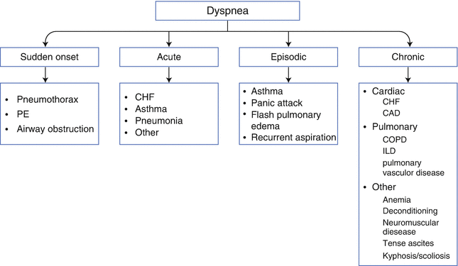 Image result for differential diagnosis of shortness of breath