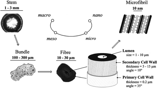 Lignocellulosic Fibres Reinforced Thermoset Composites - 