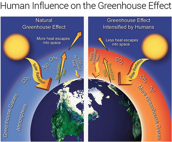 Compound Issues Of Global Warming On The High And Low Islands Of The Tropical Pacific Springerlink