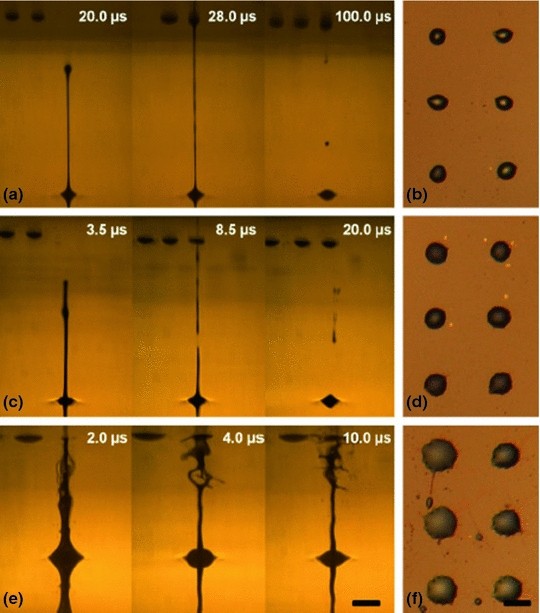 Sensor Embodiment and Flexible Electronics