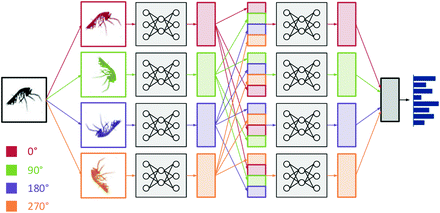 Deep Learning on Underwater Marine Object Detection: A Survey ...