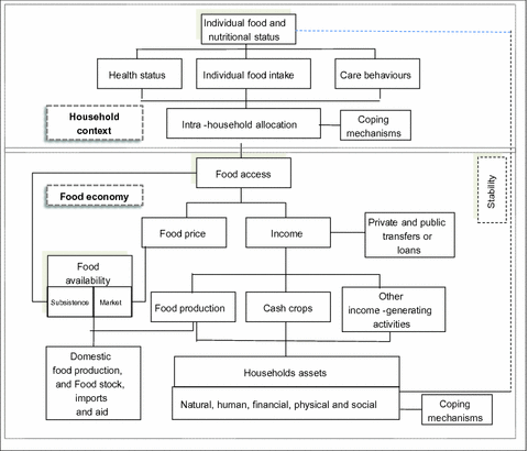conceptual frameworks for the analysis of food security springerlink open image in new window