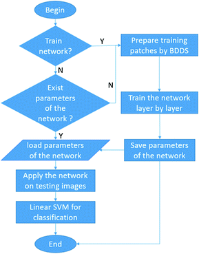 unsupervised convolutional neural network