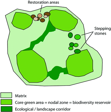A New Design For Urban Gardens Being Framed In The Green Infrastructure Springerlink