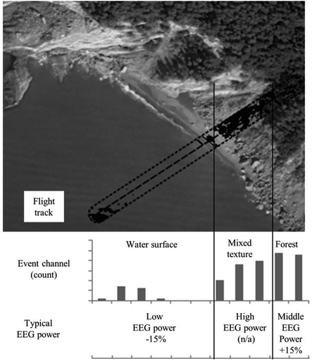 visual perception of mixed homogeneous textures in flying pigeons