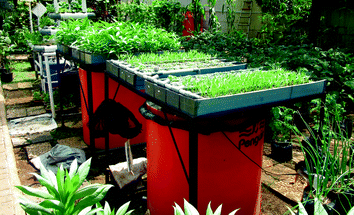 aquaponics production practices and