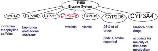 Serotonin Syndrome Mnemonic Shivers