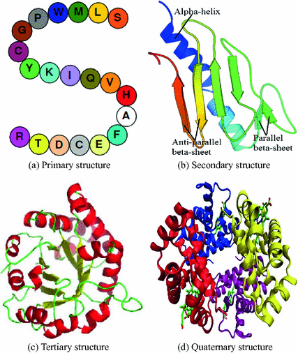 Backgrounds On Protein Structure Prediction And Metaheuristics