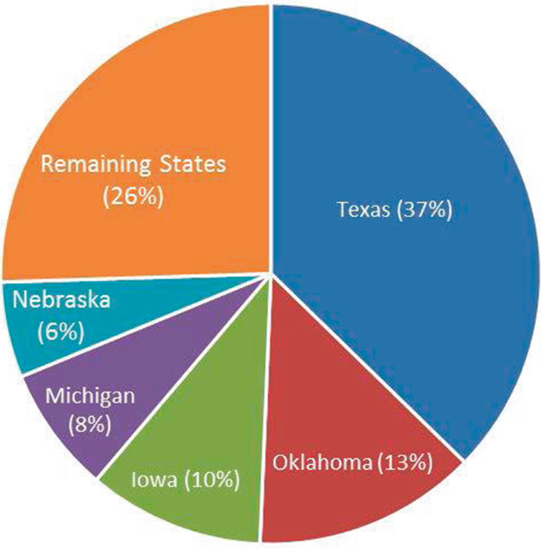 Larsen Freeman Pie Chart