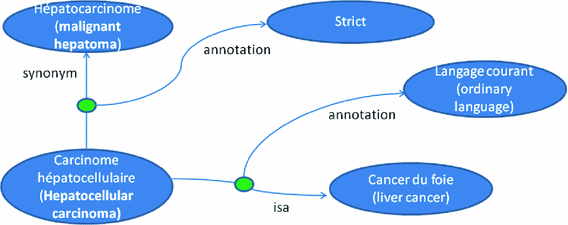 Radiological Text Simplification Using A General Knowledge Base Springerlink