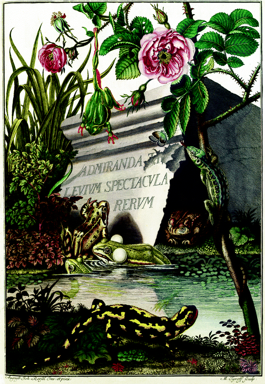 Epigraphs As Parts Of Text In Natural History Books In The Eighteenth Century Between Intertextuality And The Architecture Of The Book Springerlink