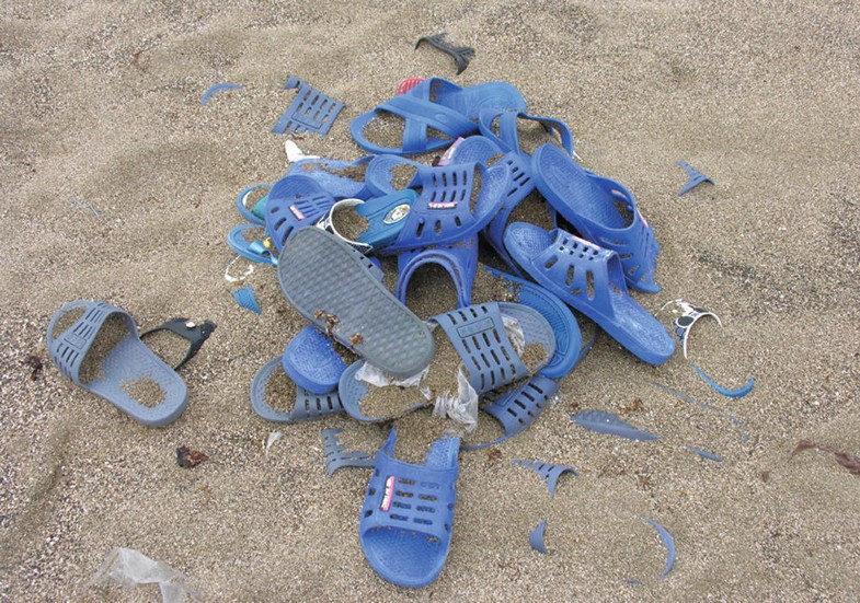 beachcomber bills flip flops