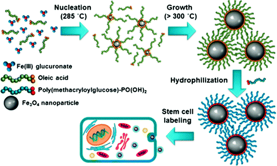 Thermolysis Of Low Molecular Weight Metal Chelates Springerlink