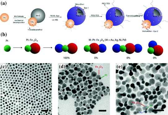 Bio Nano Theranostic At Cellular Level Springerlink