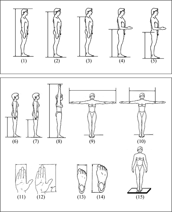 indian anthropometric dimensions for ergonomic design practice pdf indian anthropometric dimensions for ergonomic design practice pdf