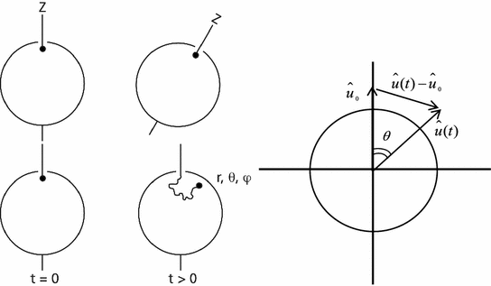 Brownian Displacements Springerlink Brownian Displacements Springerlink