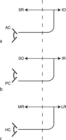 V Springerlink - 