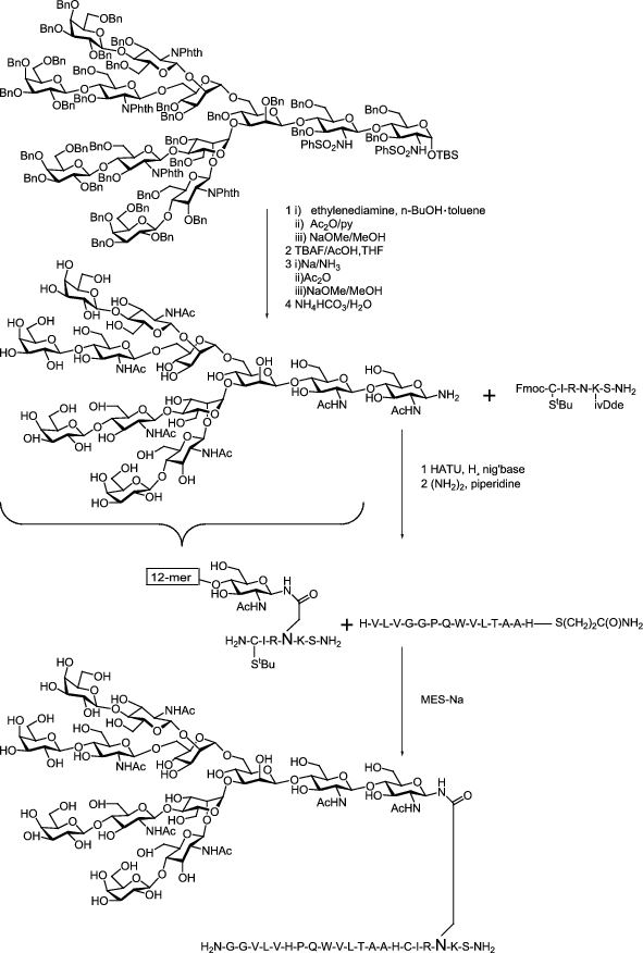 Glycosylation Engineering Of Glycoproteins Springerlink