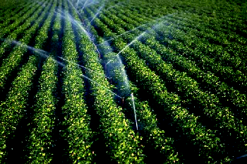 history of automation in farming history of automation in farming