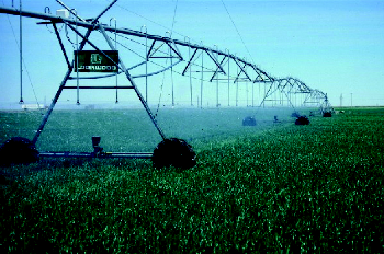 Automation In Agriculture Springerlink