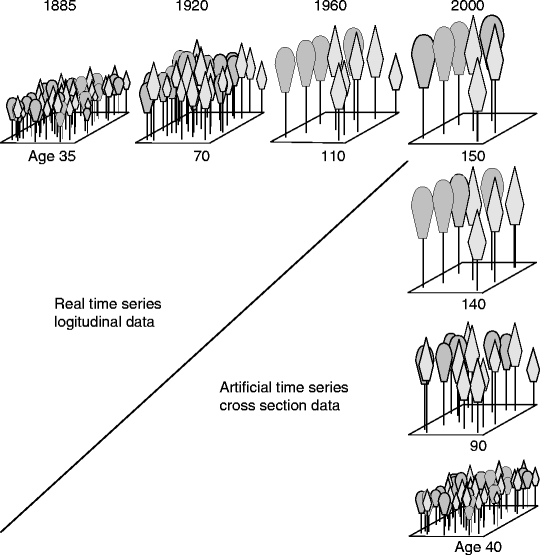 Forest Dynamics, Growth, and Yield SpringerLink