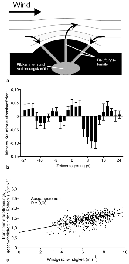 Geschwindigkeit datieren ca-Technologien