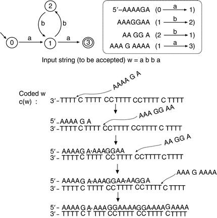 Molecular Computing Machineries Computing Models And Wet