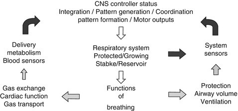 Acute Neonatal Respiratory Failure Springerlink