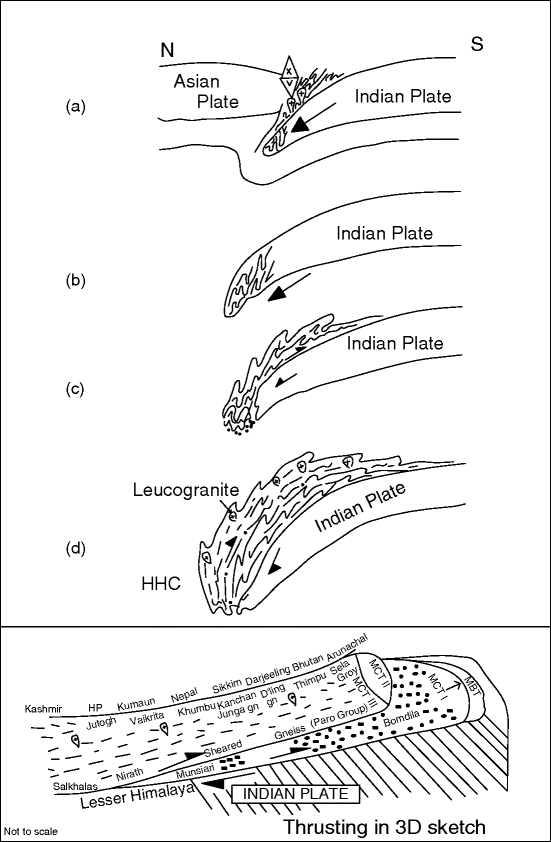 The Young And Old Fold Belts Springerlink