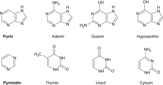 Fleisch Und Wurstwaren Springerlink