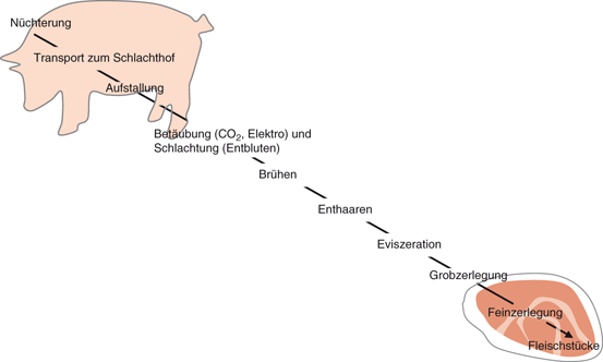 Fleisch Und Wurstwaren Springerlink