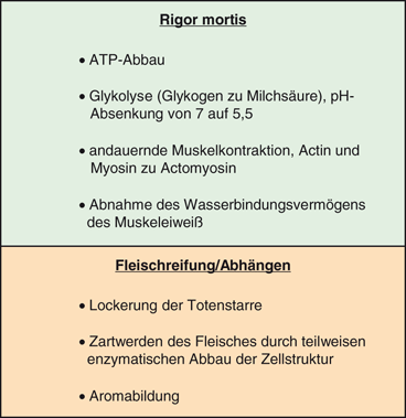 Fleisch Und Wurstwaren Springerlink