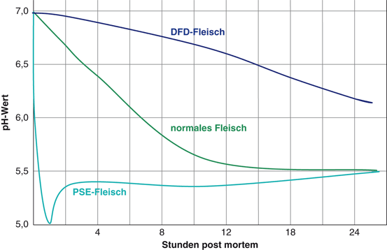 Fleisch Und Wurstwaren Springerlink