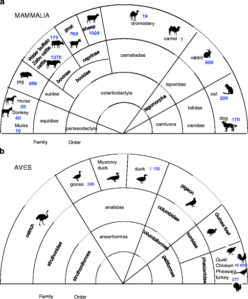 Species Differences In Pharmacokinetics And Pharmacodynamics Springerlink Species Differences In Pharmacokinetics And Pharmacodynamics Springerlink