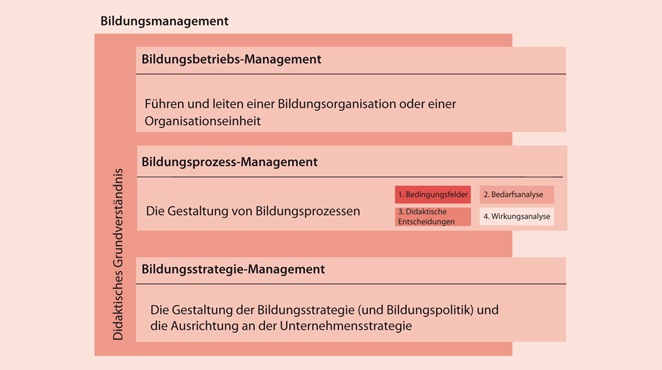Grundlagen Kompetenzen Und Rollen Springerlink - 
