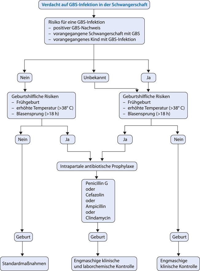 Infektionen In Der Geburtshilfe Springerlink