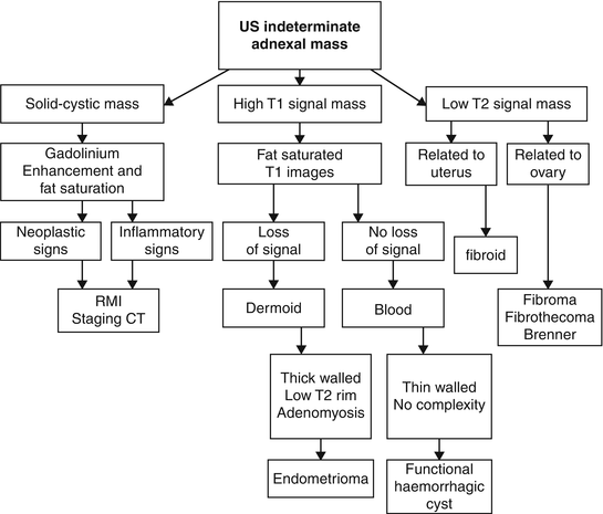 Characterisation Of Adnexal Masses Springerlink