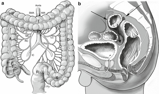 variations of masturbation frenulum