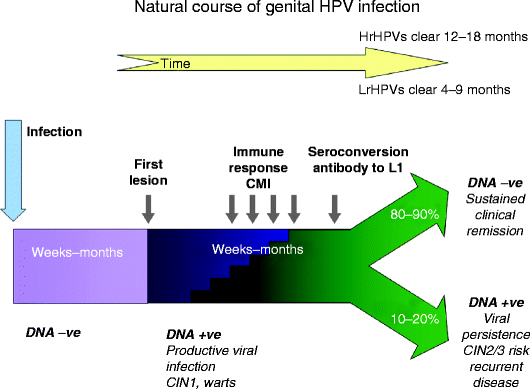 Vitamin Sziget - Betegségek / HPV vírus