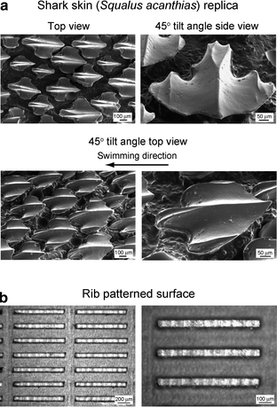 Biomimetics Inspired Surfaces For Superhydrophobicity Self Cleaning Low Adhesion And Drag Reduction Springerlink
