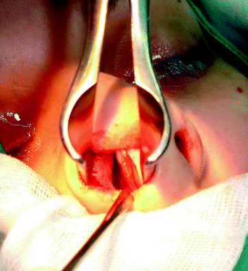 Belgyógyászati propedeutika fogorvostan-hallgatóknak