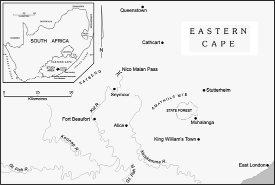 Cultural Importance of Non-timber Forest Products: Opportunities