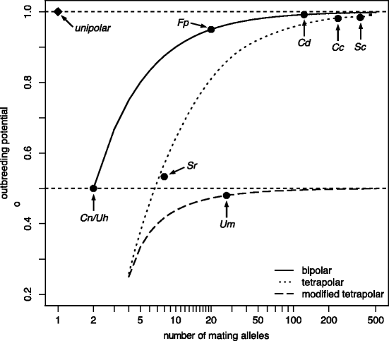 6 Mating Type In Basidiomycetes Unipolar Bipolar And Tetrapolar Patterns Of Sexuality Springerlink