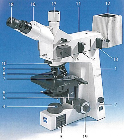 Das Mikroskop | SpringerLink