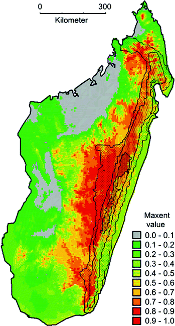 Hotspots Conservation And Diseases Madagascar S Megadiverse Amphibians And The Potential Impact Of Chytridiomycosis Springerlink