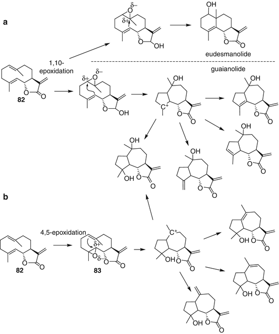 Guaianolide Sesquiterpenoids Pharmacology And Biosynthesis Springerlink